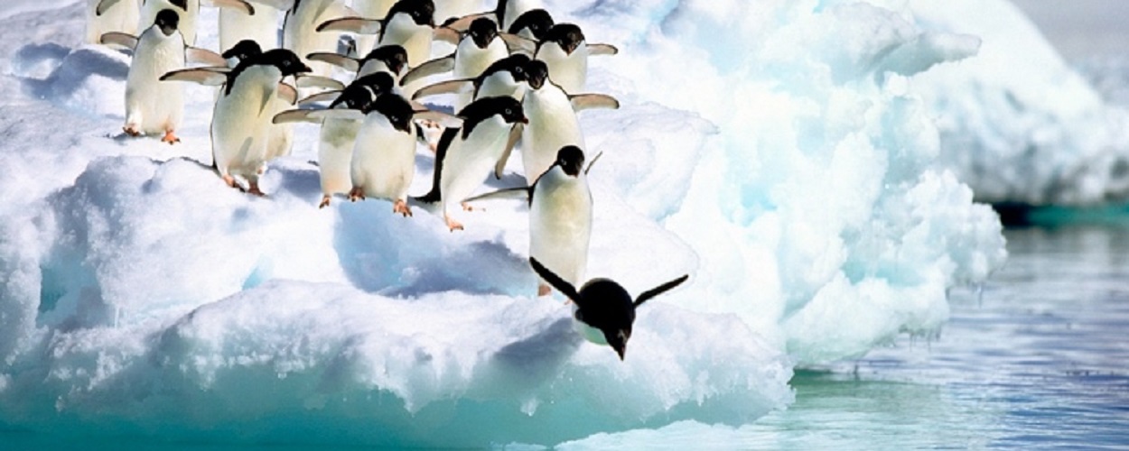 Entrepreneur Leadership